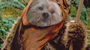 ewok1